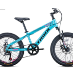 Bicicleta JNR B01